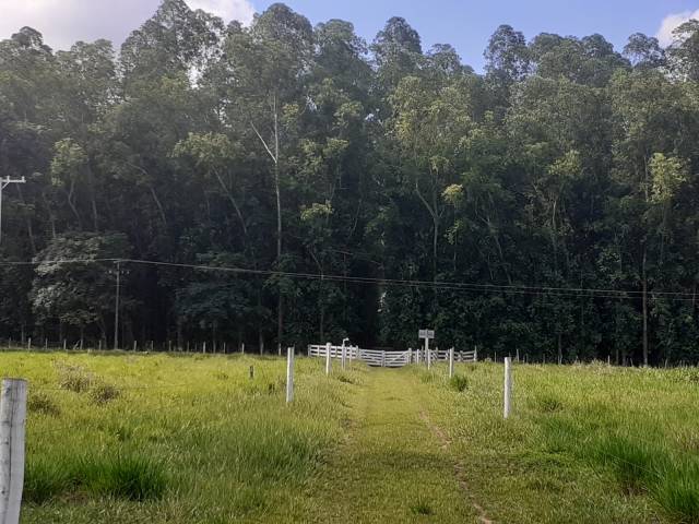 #29 - Chácara para Venda em São Paulo - SP - 1