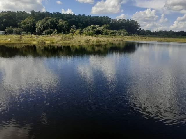 #29 - Chácara para Venda em Rio Verde de Mato Grosso - MS - 3